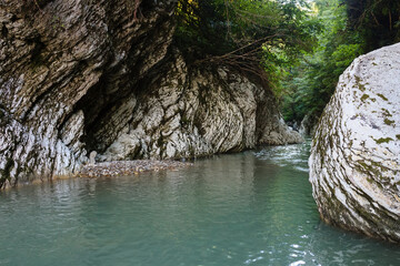 mountain blue river canyon in greenforest in caucasus mountains