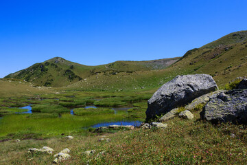 mountain landscape with big stones and lakes surrounded with alpine meadows with flowers