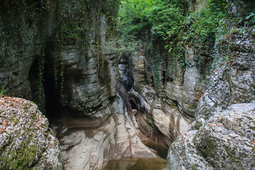 mountain river canyon with lianas and greenforest above