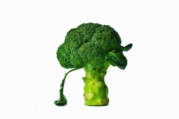 broccoli on a white background