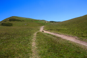sandy footpath on the green grass of alpine meadows in the caucasus mountains