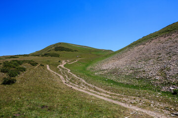 sandy footpath to the top of the mountain covered with alpine meadows