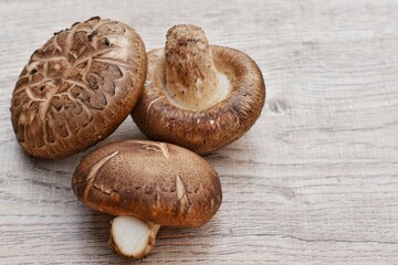 shiitake mushrooms on wooden background