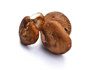 Shiitake mushrooms on a white background