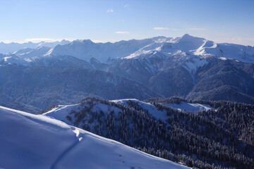 high mountain winter landscape and slopes covered with pine forest and snow