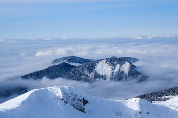 mountains covered with snow and forest in the middle of the clouds