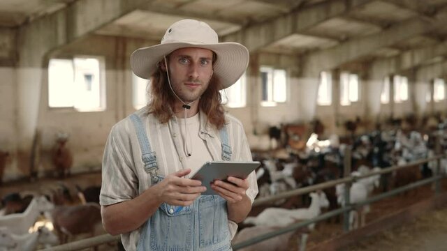Caucasian farmer working on tablet at barn with goats