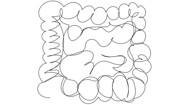 Selfie drawing of human intestines by one line on a white background. Esophagus animation for health and nutrition whiteboard presentation.