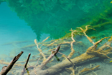 Naklejka premium Plitvice Lakes - Croatia, 2021