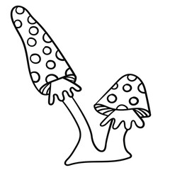 Amanita 4
