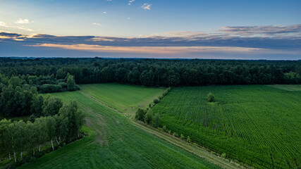 Land or landscape of green field in aerial view. Include agriculture farm, house building, village. That real estate or property. Plot of land for housing subdivision, development, sale or investment