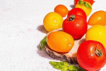 Fototapeta na wymiar Assortment ripe tomatoes with fresh basil leaves on white putty background