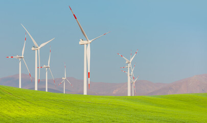 Fototapeta premium Wind turbines generating electricity on the foreground green grass field