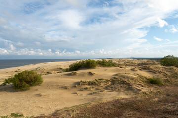 amazing view of sandy Grey Dunes at the Curonian Spit.