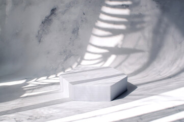 Mockup background for product presentation. Concrete podium background with shadows from the leaves...