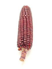 Purple corn or Siam ruby queen isolated on a white background. Vegan fruit and healthy fruits concept