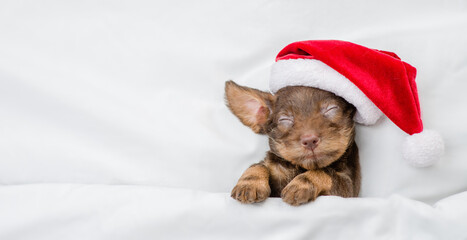 Cute Dachshund puppy wearing red santa hat sleeps on a bed under white blanket at home. Top down...