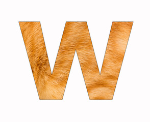 Alphabet Letter W - Cat Fur Background