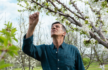 Attentive old man looking up while inspecting garden