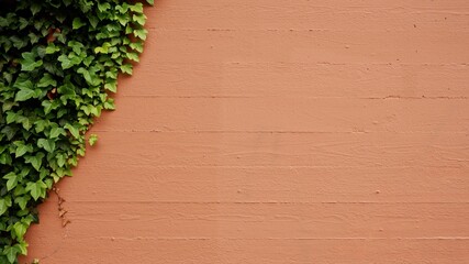 Green leaves on a wall form a natural background with copy space