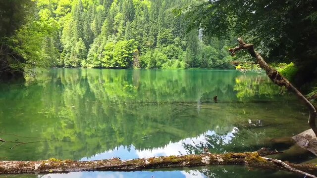 Scropoasa lake  , a fresh water alpine lake in Bucegi Natural Park , part of the Carpathian range in Romania .