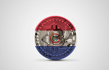 Paraguay flag on a bitcoin cryptocurrency coin. 3D Rendering - obrazy, fototapety, plakaty