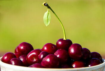 Ripe cherry in a cup close-up
