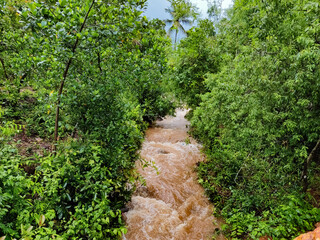 Beautiful shot of stream flood water flow with greens