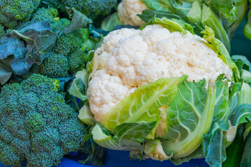 ANTALYA, TURKEY: Fresh green cabbage sale on the street market. Grocery traditional Turkish bazaar...