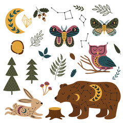 Fototapeta premium set of isolated magic forest animals and plants