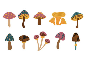 Plakat set of isolated different mushrooms
