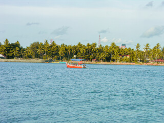 Obraz premium River bank with green coconut trees