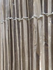 Access to the beach of Fautea, Corsica