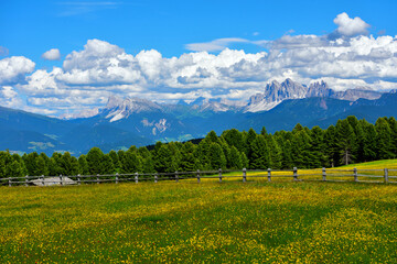 alpe di villandro It is the second largest mountain pasture in Europe and  panorama dolomites south...