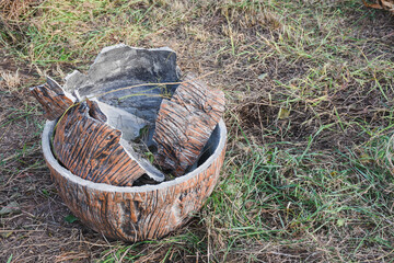 Fototapeta premium basket with mushrooms