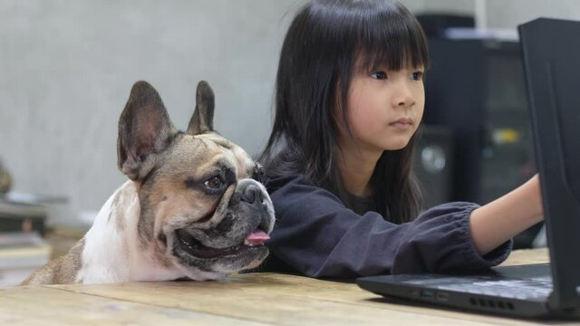 Asian girl studying online at home with her best friend dog.