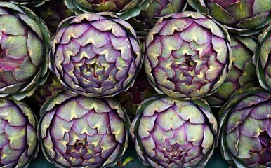 Fototapeta premium Green and purple artichokes at a French farmers market