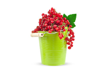 Red currant in a green cup on a white background. Horizontal. Background with copy space.