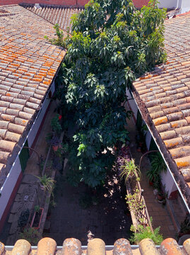 View of Old Style Spanish Apartments (Corral de Vecinos)