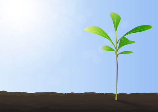Green sprout growing from ground on blue background vector illustration