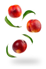 Falling Nectarine or peach isolated on white background