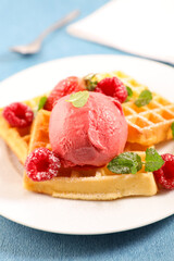 plate with waffles and raspberry ice cream