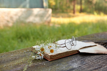 White daisies on a wooden table on a blurry background of an open book. Dreamy summer still life in the open air.