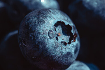 ripe organic black currant close up