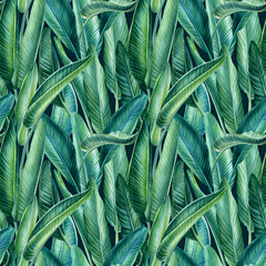 Strelitzia leaves, tropical background, watercolor illustration, digital paper, seamless pattern