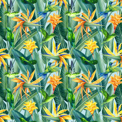 Fototapeta na wymiar Hummingbirds and Strelitzia, tropical background, watercolor illustration, digital paper, seamless pattern