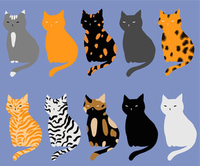 A set of cats with different colors