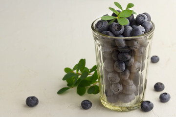 Fresh blueberries in a glass on light background