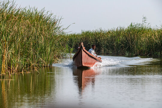 Local boat, Mesopotamian Marshes, The Ahwar of Southern Iraq, UNESCO World Heritage Site, Iraq
