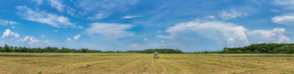 Fototapeta na wymiar On the rye field, the tractor is harvesting in fresh grass hay.